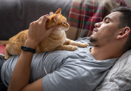 Maintaining routines with your cat